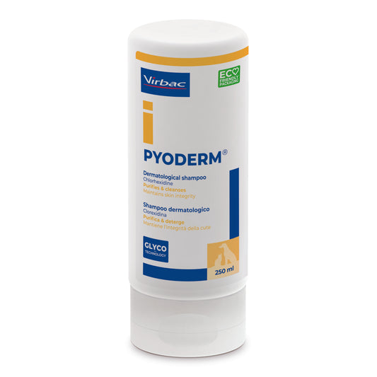 Pyoderm - antibakterinis ir priešgrybelinis šampūnas