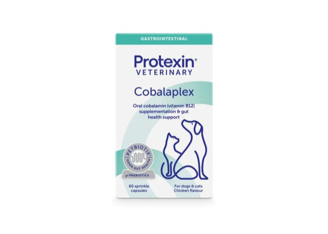PROTEXIN® Cobalaplex B12 papildas šunims ir katėms