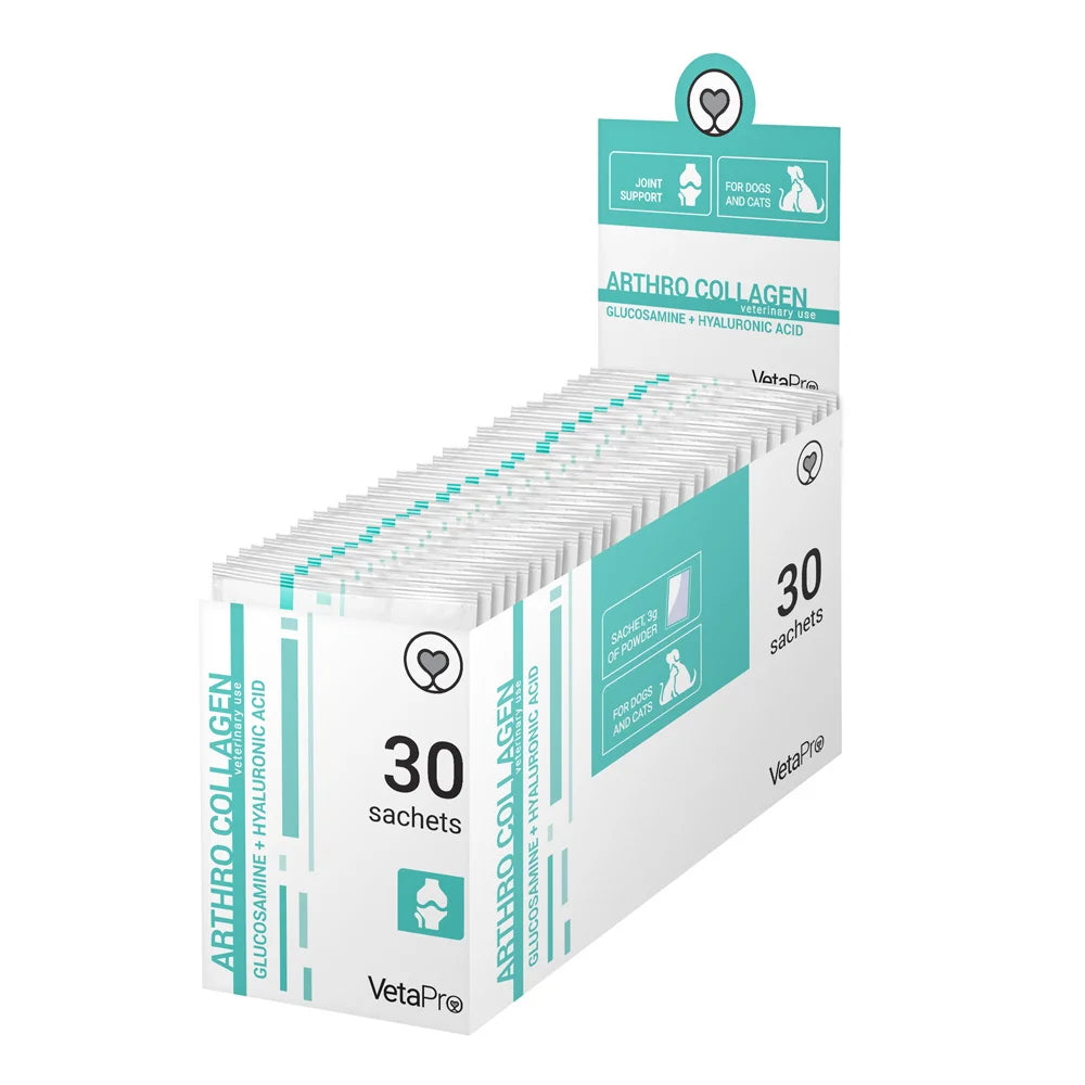 ARTHRO COLLAGEN papildas sąnarių apsaugai