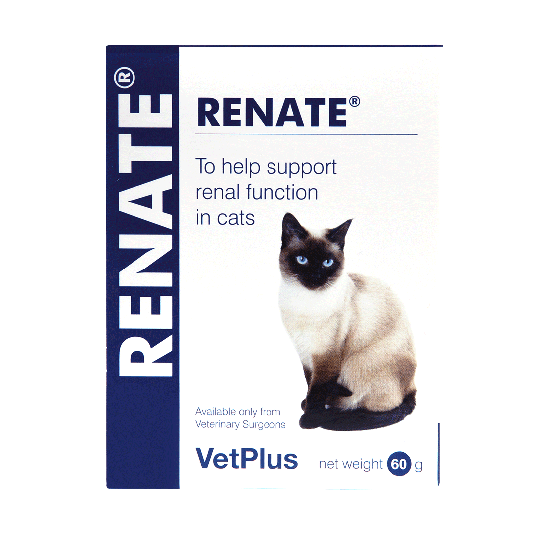 RENATE® pašaro papildas, palaikantis tinkamą kačių inkstų funkciją