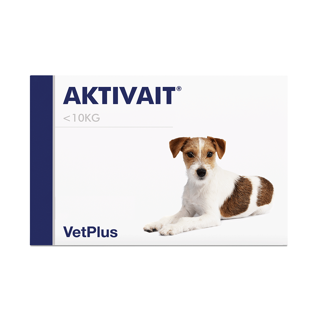 AKTIVAIT® mažų veislių šunų smegenų veiklos funkcijoms gerinti