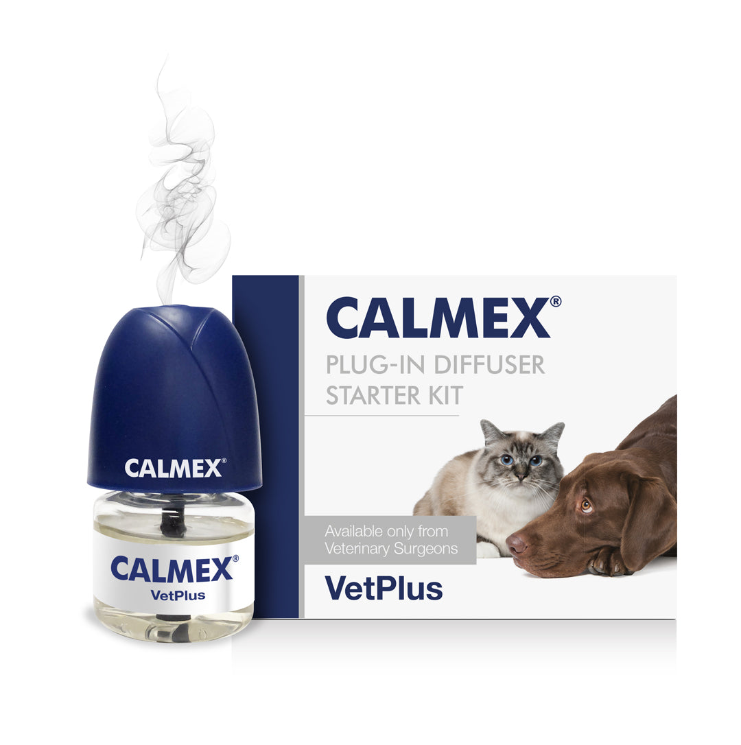 CALMEX® DIFFUSER kištukinis raminantis difuzorius
