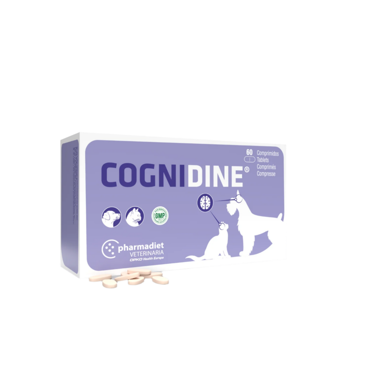 COGNIDINE® papildas esant kognytivinių funkcijų sutrikimams