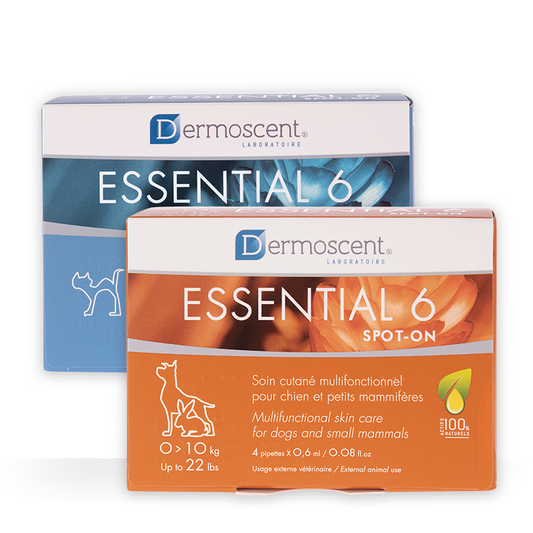 Dermoscent® Essential 6 - užlašinamasis tirpalas šunims odos ir kailio būklei gerinti
