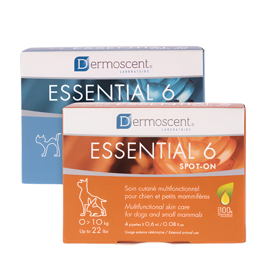 Dermoscent® Essential 6 - užlašinamasis tirpalas katėms