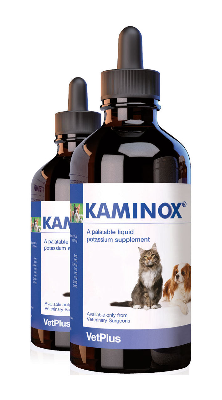 KAMINOX® papildas, skirtas palaikyti inkstų funkciją