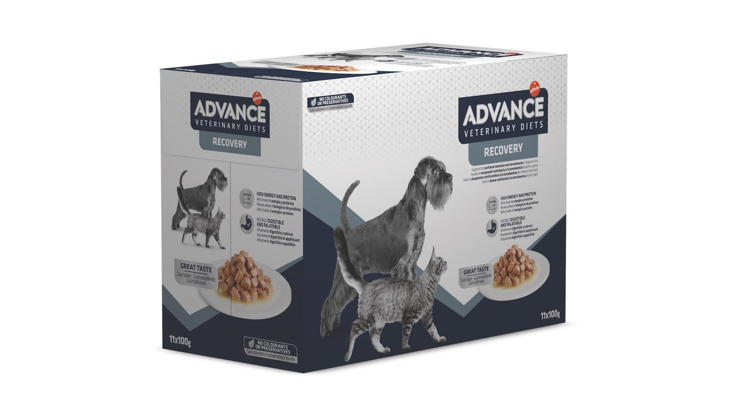 Advance RECOVERY konservuotas ėdalas šunims ir katėms