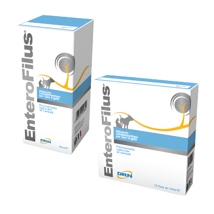EnteroFilus® - papildas esant disbakterioziniam enteritui (viduriavimui)