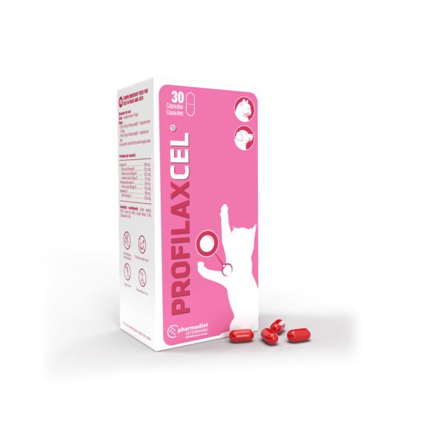 profilaxCEL® - papildas šunų ir kačių pieno liaukos ir prostatos ląstelių apsaugai