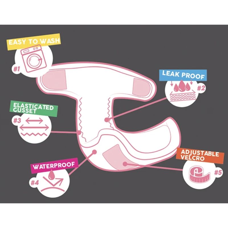 CROCI daugkartinės kelnaitės kalytėms