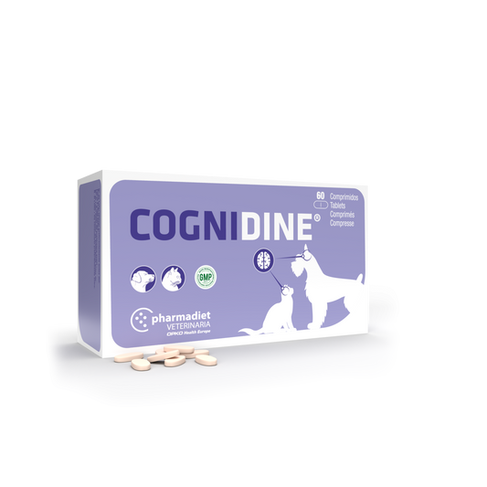 COGNIDINE® papildas esant kognytivinių funkcijų sutrikimams