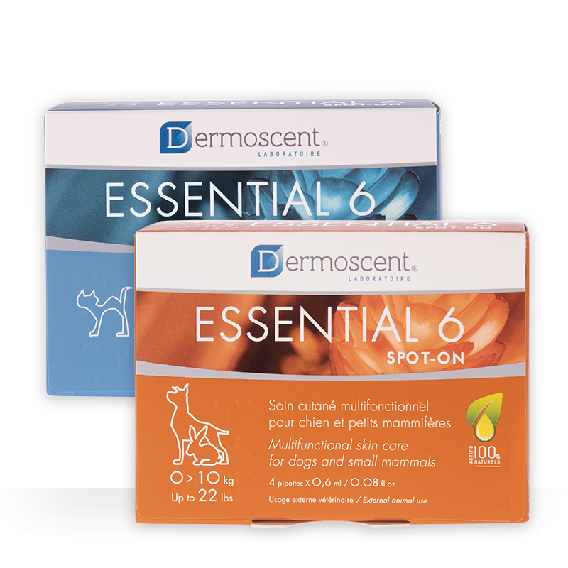 Dermoscent® Essential 6 - užlašinamasis tirpalas katėms