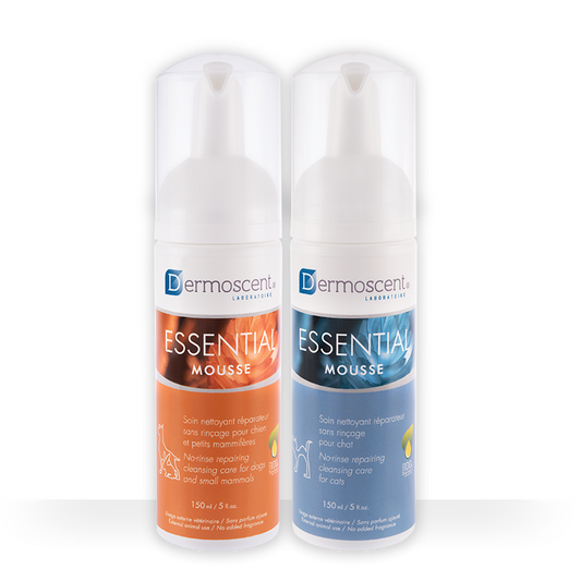 Dermoscent® ESSENTIAL mousse nenuplaunamos valančios putos katėms