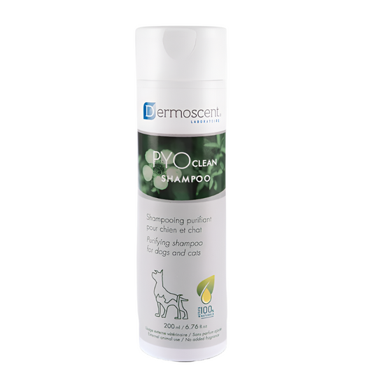 Dermoscent® PYOclean šampūnas