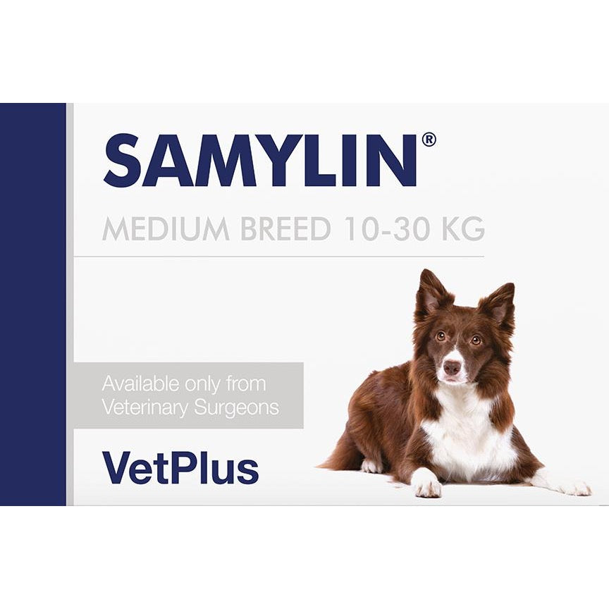 SAMYLIN® kepenų funkcijai palaikyti vidutinių veislių šunims