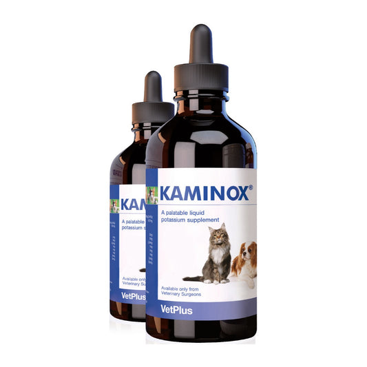 KAMINOX® papildas, skirtas palaikyti inkstų funkciją