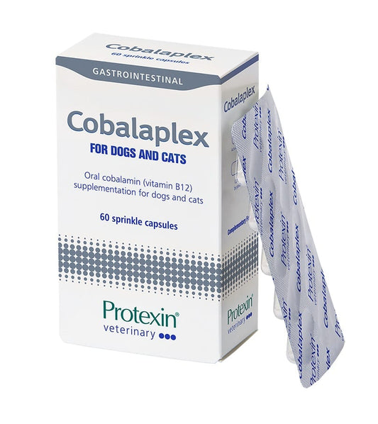 Cobalaplex B12 papildas šunims ir katėms