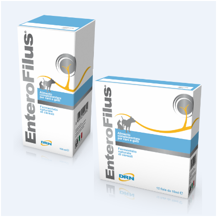 EnteroFilus® - papildas esant disbakterioziniam enteritui (viduriavimui)