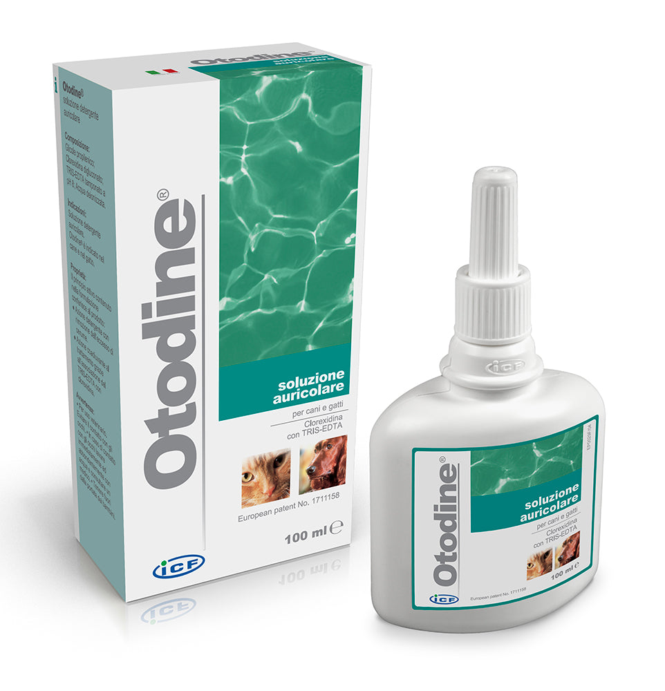 Otodine® - pagalbinė priemonė bakteriniam ir žaizdotam pūlingam otitui gydyti