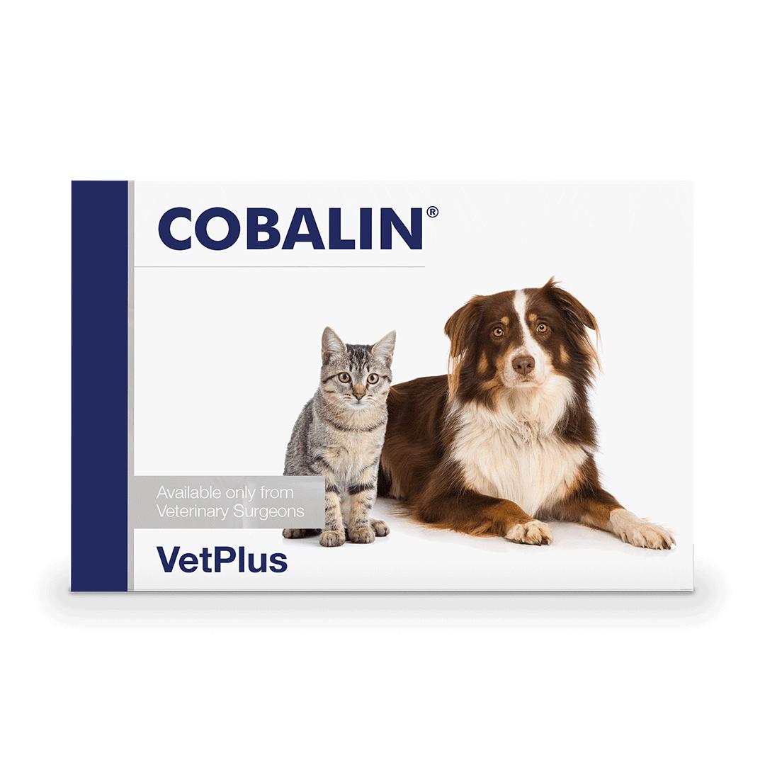COBALIN® B9 ir B12 papildas šunims ir katėms