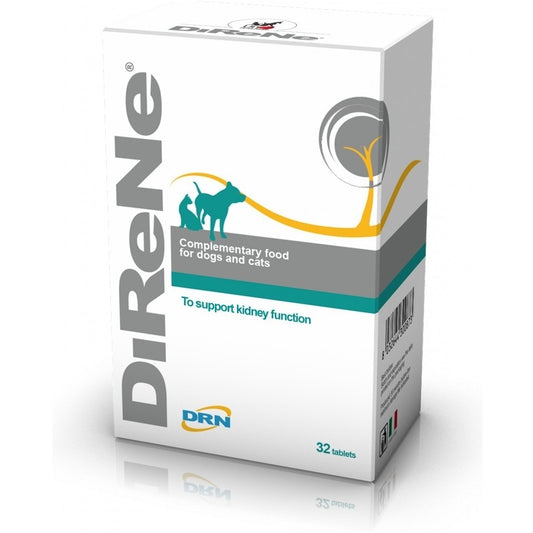 DiReNe® - papildas esant inkstų nepakankamumui